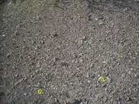 100_8397.webp