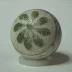 China24k.webp