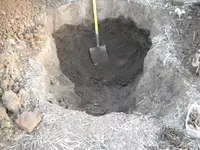 2-6-11 finds 011.webp