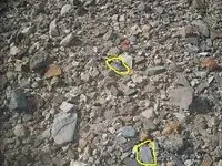 100_8399.webp