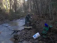 joel diggin.webp