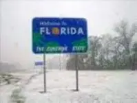 FotoFlexer_Photo florida.webp
