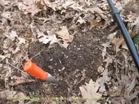 Before digging copper.webp