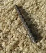 IMG_8702_2.webp