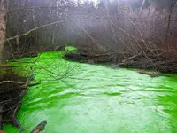 river.webp