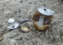 BeachHunt2182011.webp