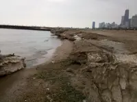 BeachHunt2182011_2.webp