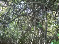100_3000.webp