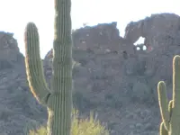 1-9-11 433.webp