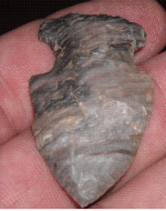 grey banded.GIF