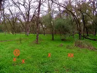 orangevale park 060 copy.webp