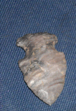 grey banded2.GIF