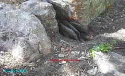 camping 2010 260.webp