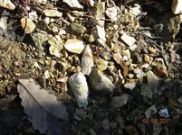 2-18-11 2.webp