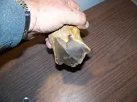 100_6983.webp