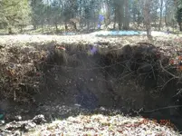 2-18-11 8.webp