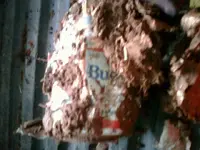 pistol 04.webp