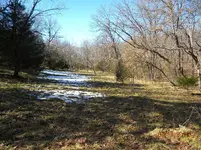 2-18-11 9.webp