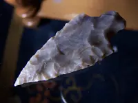 1-21-2011 042.webp