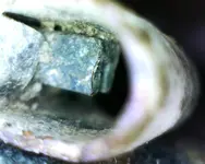 bar sticking out.webp