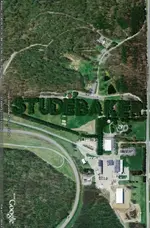 studabakerin trees.webp