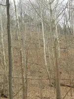 DSCN1076.webp