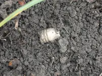 DSCN1075.webp