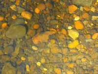 DSCF0002-1.webp