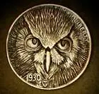 OWL.webp OWL.webp