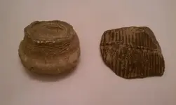 Fossil 1.webp