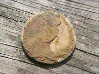 peel.webp