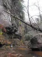 DSCF0060.webp