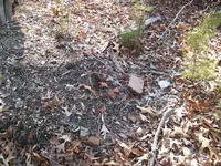 2010 010.webp