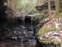 DSCF0034.webp