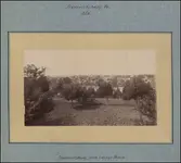 lacey house.webp
