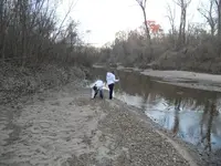The Creek.webp