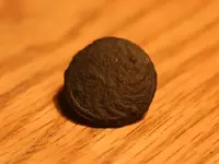 NC FINDS 01-17005.webp