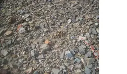 untitled.webp