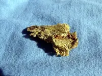 nugget 2 pic.webp