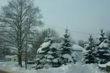 DSC02.webp
