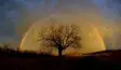 avatar_20978.webp avatar_20978.webp