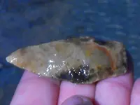 DSCF0053.webp