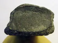 DSCF7055.webp
