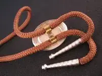 bolo slide.webp