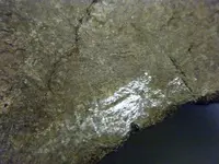DSCF7051.webp