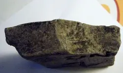DSCF7046.webp