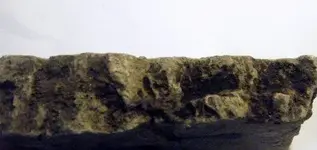 DSCF7049.webp
