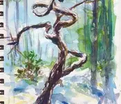 SourwoodSketch-350x300.webp