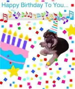 gsdbday4.webp