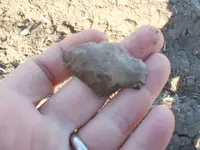 P1010235.webp